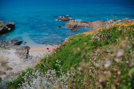 Cornwall in Spring